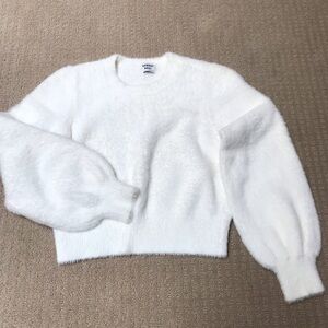 Sunday Best kitten sweater